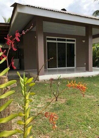 Lokai house