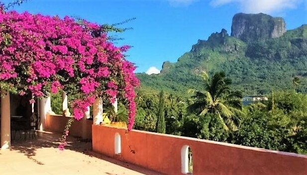 Villa Rea Hanaa - Photo2