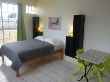 Apartment Studio Halfon