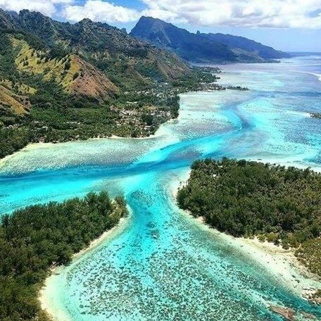 Beach de reves de Moorea - Photo3