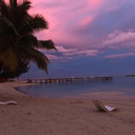 Beach de reves de Moorea - Photo4