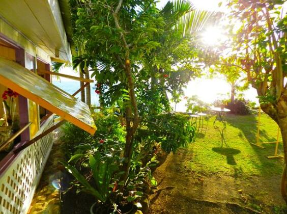 Ecolodge Cook's Beach - Photo5