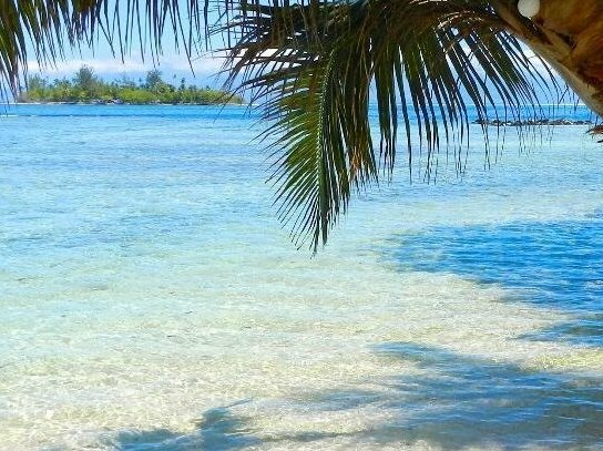 Enjoy Villa Lagoon 6 - Photo4