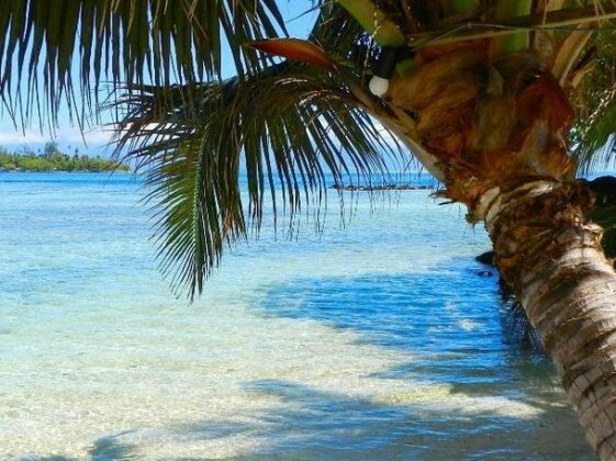 Enjoy Villa Lagoon 6 - Photo5