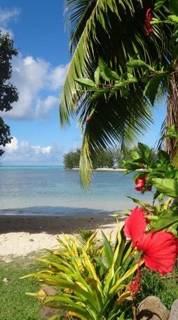 Moorea Fare Miti - Photo2