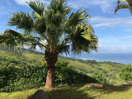 Mata Miti - Photo2