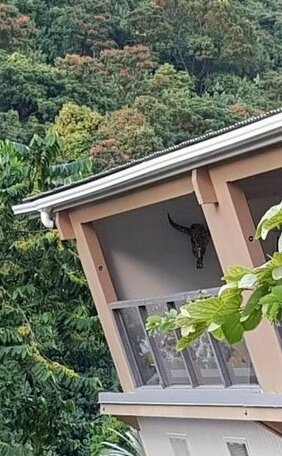 Tanikai 1 - Photo5