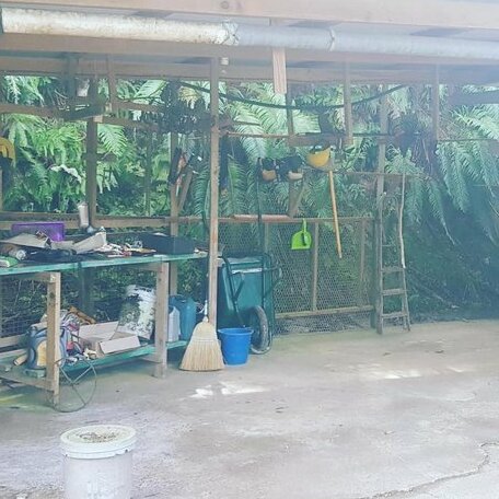 Pandora Hostel Raiatea - Photo2
