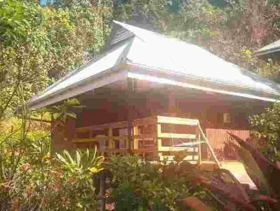 Pension Temaeva - Photo2