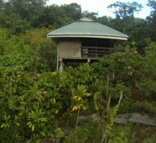 Pension Temaeva - Photo3