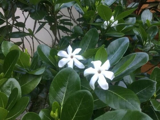 Raiatea sur Mer - Photo4