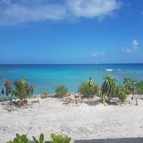 Chez Sand