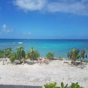 Chez Sand