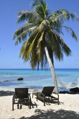 Le Coconut Lodge - Photo2
