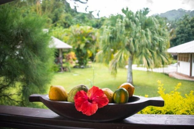 Pension TITAINA - Photo2