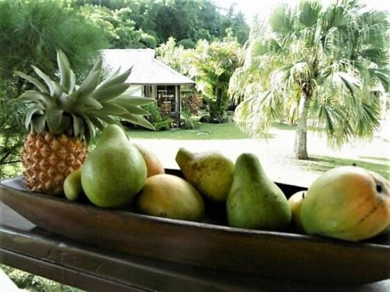 Pension TITAINA - Photo3