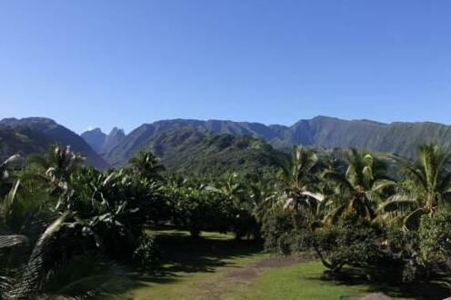 Taharuu Surf Lodge - Photo3
