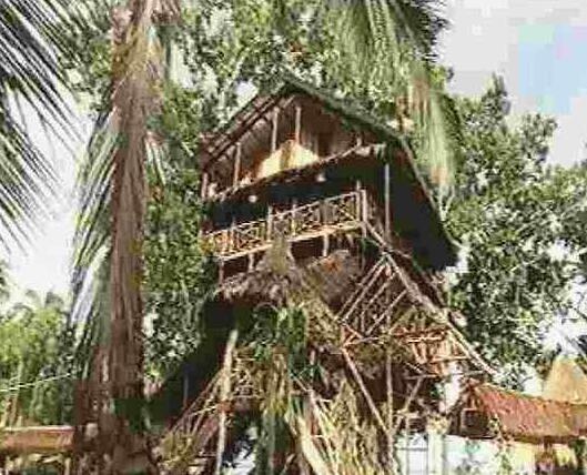 Treehouse Village Resort