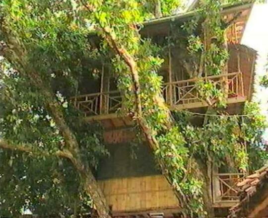 Treehouse Village Resort - Photo2