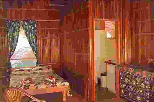 Treehouse Village Resort - Photo4