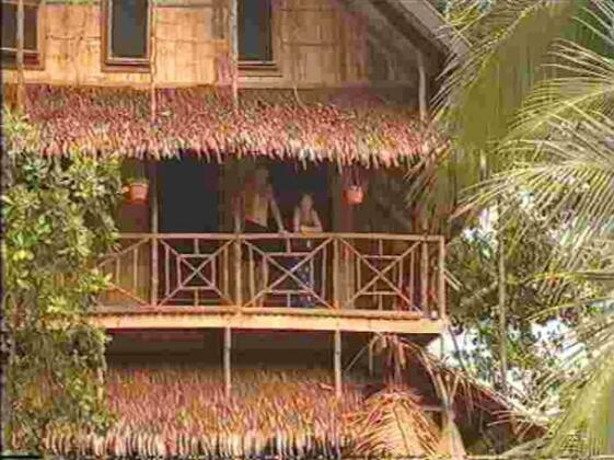 Treehouse Village Resort - Photo5