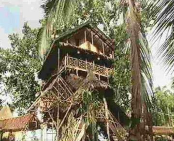 Treehouse Village Resort