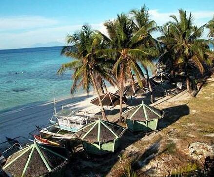 FloWer-Beach Resort - Photo4