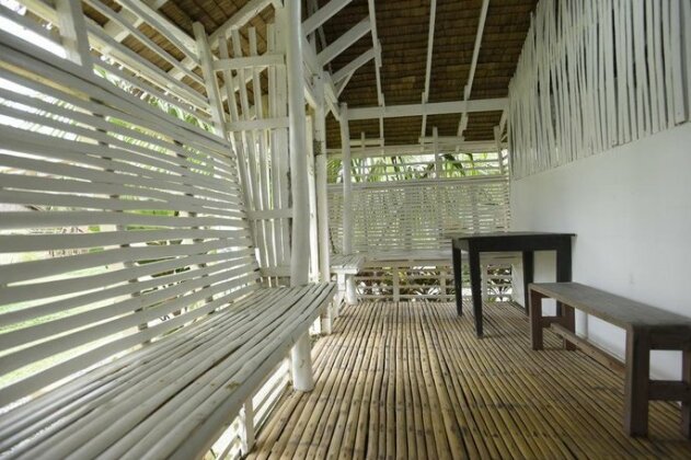 Nalu Surf Camp - Photo2