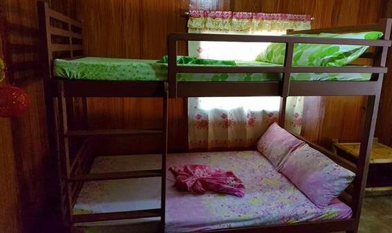 Nature Green Forest Resort - Photo3