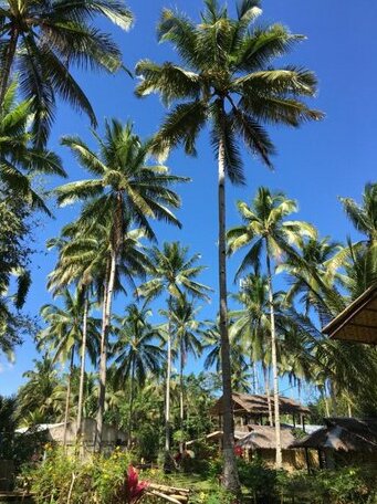 Batuan Hammock Hostel - Photo5
