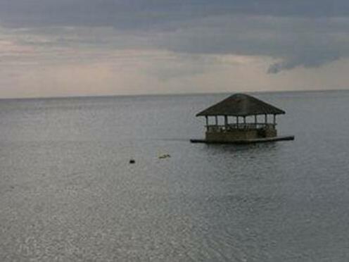 Haven Resort Anilao - Photo4