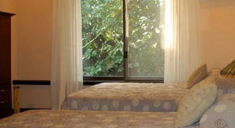 Casa Escano Bed & Breakfast - Photo5