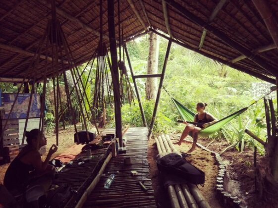 Ecocio Jungle Hostel - Photo5