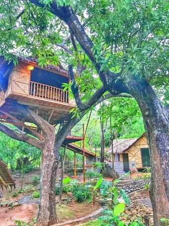 Pirates Diving Resort Coron - Photo2