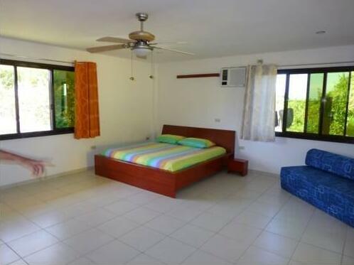 Yellowhouse - Photo3