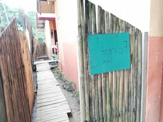 Forest Inn El Nido - Photo5