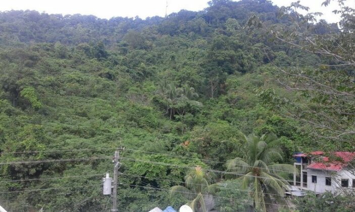 Just Inn El Nido - Photo2