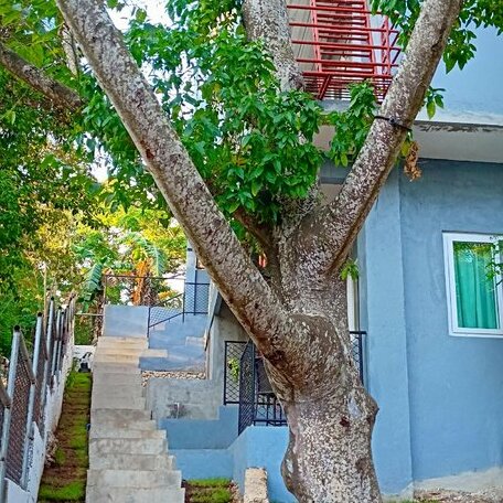 Dinihills Apartments Boracay - Photo5