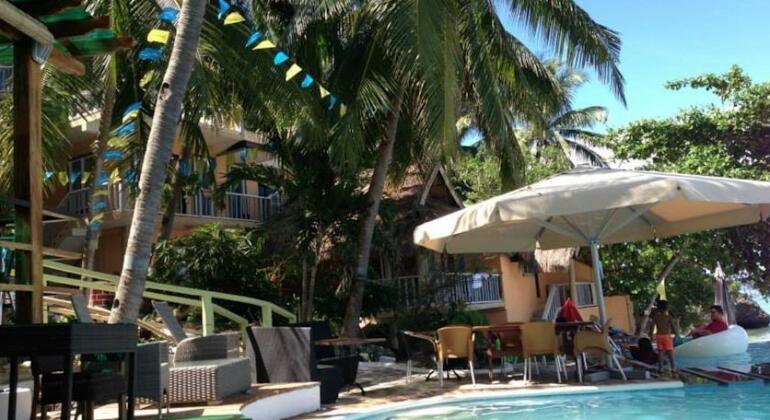 Oslob Seafari Resort - Photo2