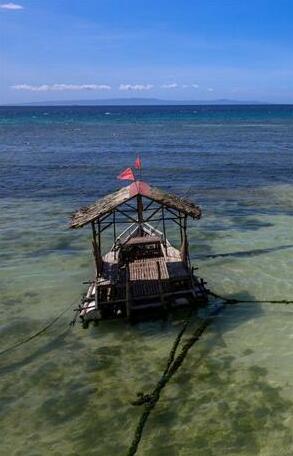 Sascha's Resort Oslob - Photo4