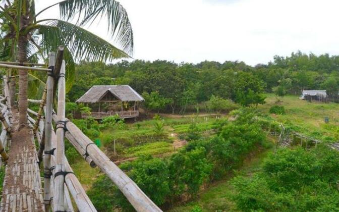 Bohol Coco Farm - Photo5