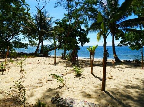 Jungle Beach Resort Puerto Princesa City - Photo4