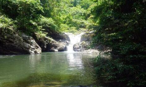 Love and Peace Deep Jungle River Paradise Resort