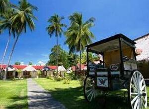 Whispering Palms Island Resort - Photo3