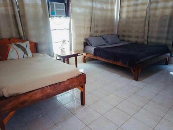 Naxos Tours and Rental - Photo3