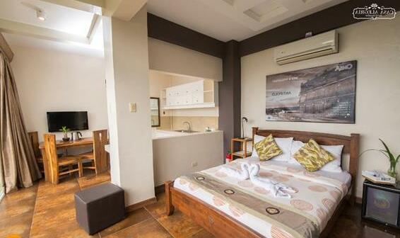 Casa Alegria Bed and Breakfast - Photo3
