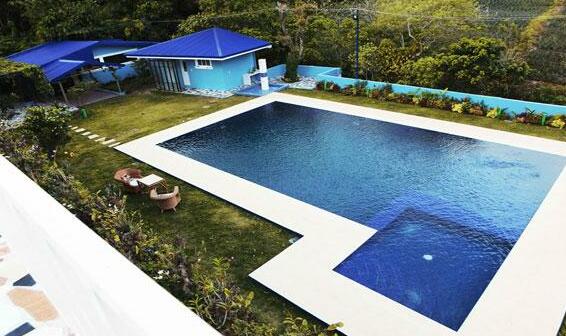 Puzzle Mansion Bed & Breakfast - Photo4