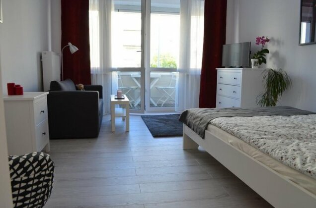 Baigo Star - Photo2
