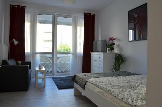 Baigo Star - Photo3