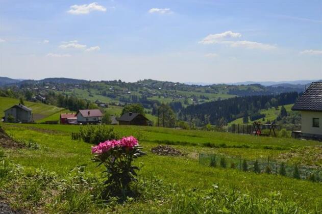 Domki pod Beskidem - Photo3